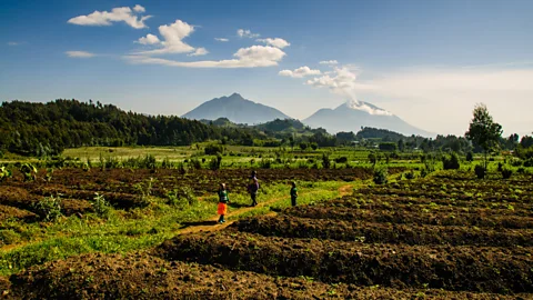 Michael Cook - Altai World Photography/Getty Images Rwanda ranks sixth in the world in the Global Gender Gap index (Credit: Michael Cook - Altai World Photography/Getty Images)