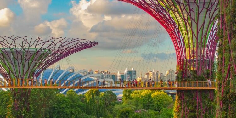 Super Tree Grove at Gardens by the Bay Singapore