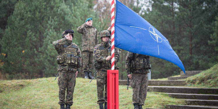 How was NATO won? Assessing Poland's record in NATO after 25 years