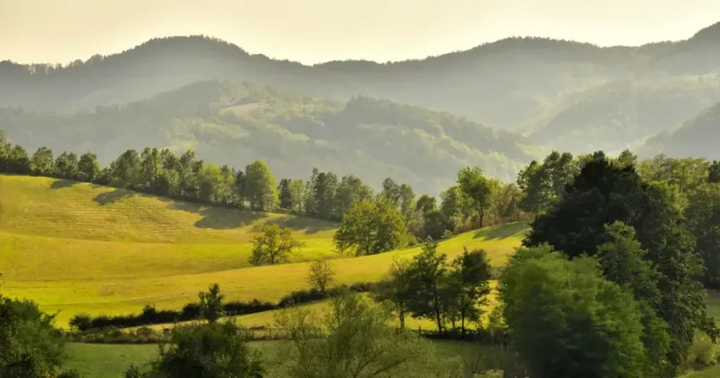 When’s The Best Time Of Year To Visit Serbia?