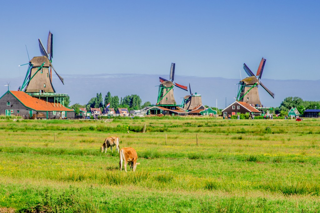 The Dutch countryside