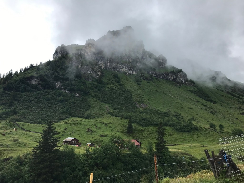 Greenery surrounding Lauterbrunnen.