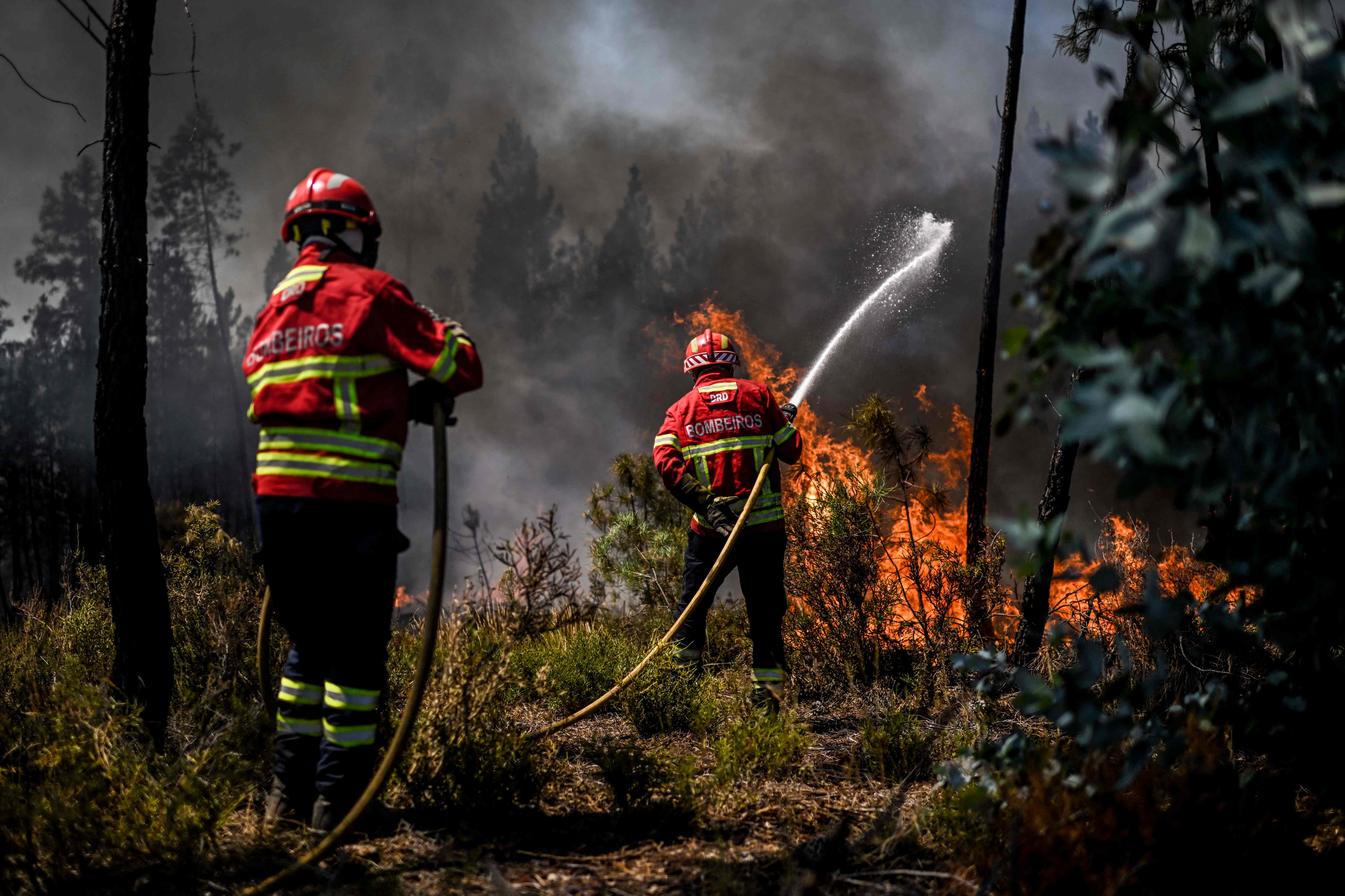 Firefighters battle a wildfire in Carrascal, Proenca a Nova