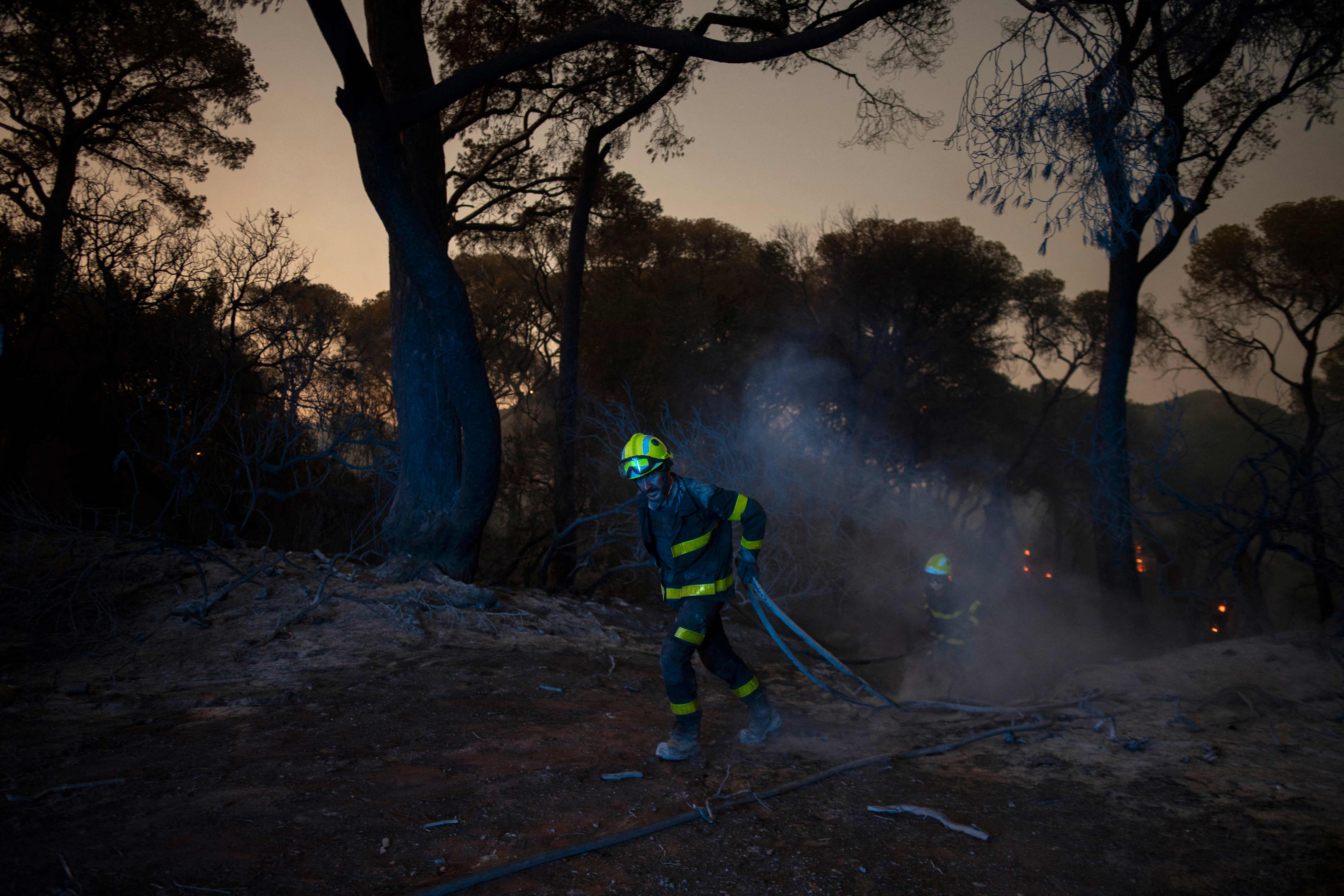 Firefighters try to extinguish a wildfire in a forest area in Puerto Real, near Cadiz