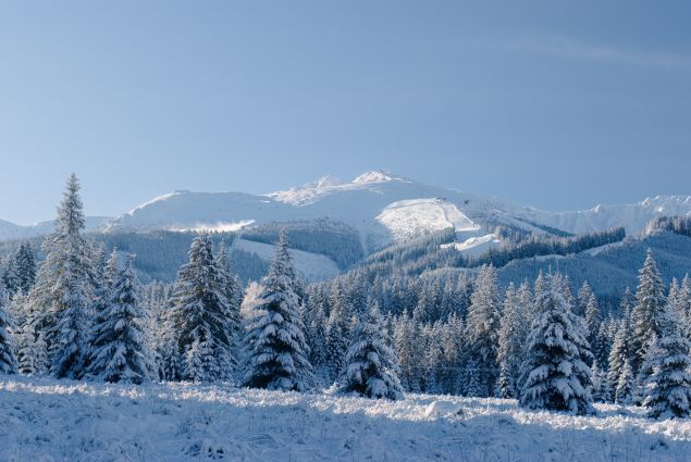 Image: Snow-covered mountain range in Jasná, Slovakia. 