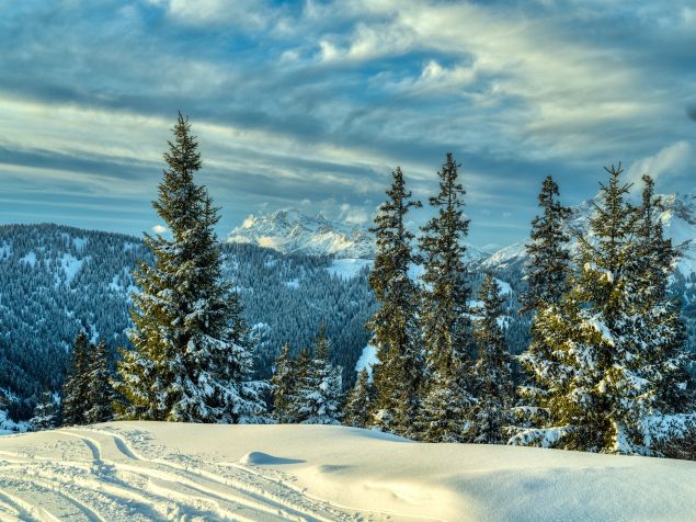 Image: Snow covered mountains and trees in Hochkönig, Austria.