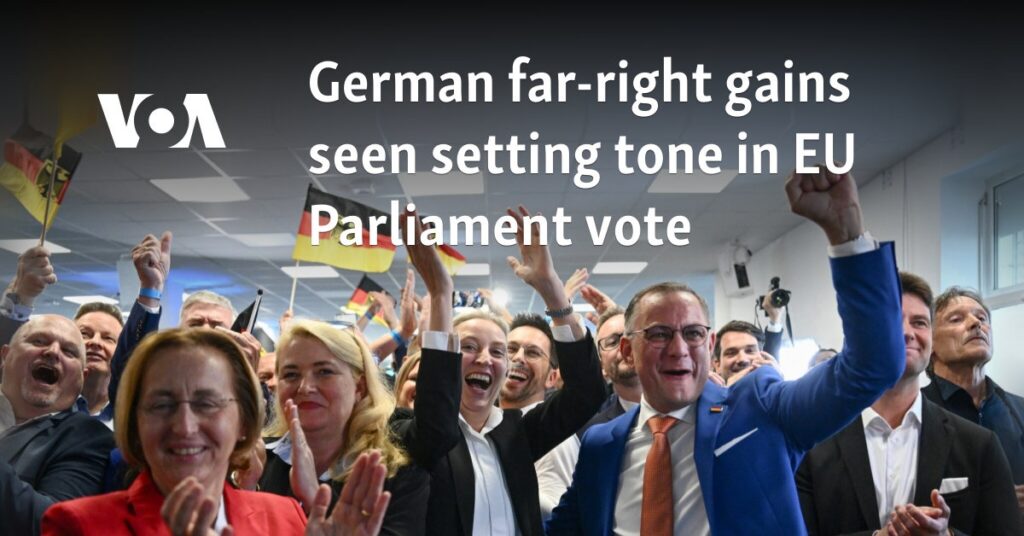 German far-right gains seen setting tone in EU Parliament vote 