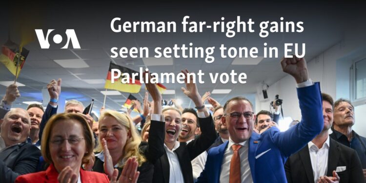 German far-right gains seen setting tone in EU Parliament vote 