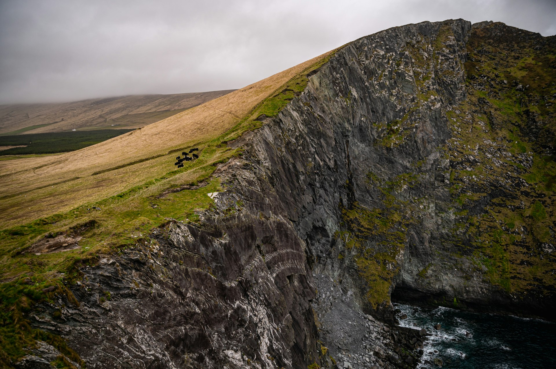 Rugged cliffs rise out of the ocean, covered in dark grass. 