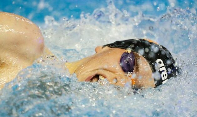 Wexford swimmer Evan Bailey assists Ireland to seventh in Europe