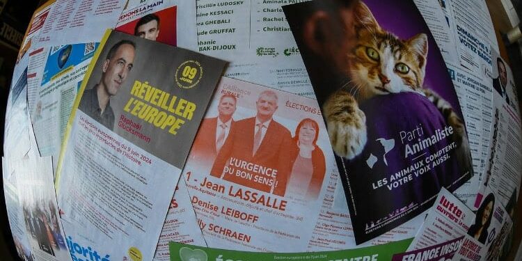 mass of diverse election brochures from the French parties