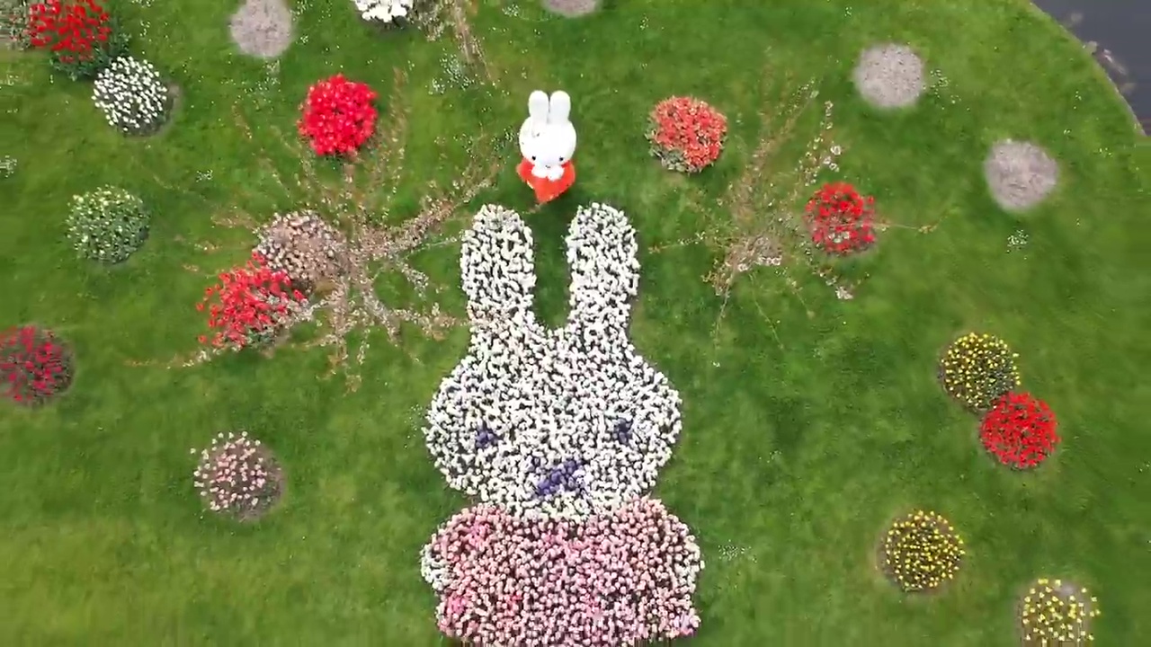 Miffy the rabbit will be paying a visit to the garden this year