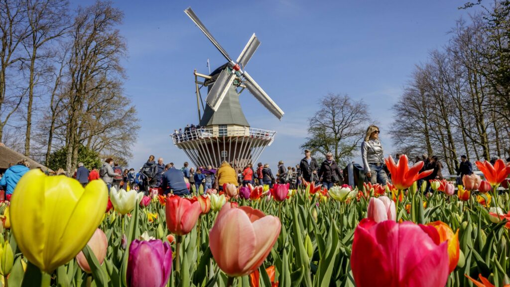 The pretty ‘Garden of Europe’ attraction only open two months a year – with playgrounds & treasure hunts