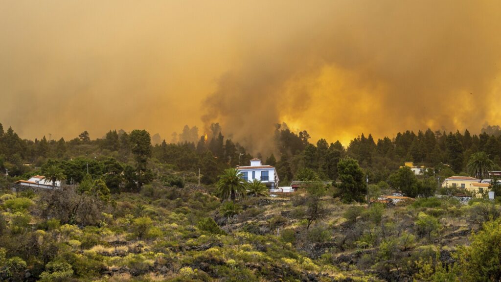 2,000 evacuated in La Palma wildfire in Spain’s Canary Islands; official says blaze ‘out of control’