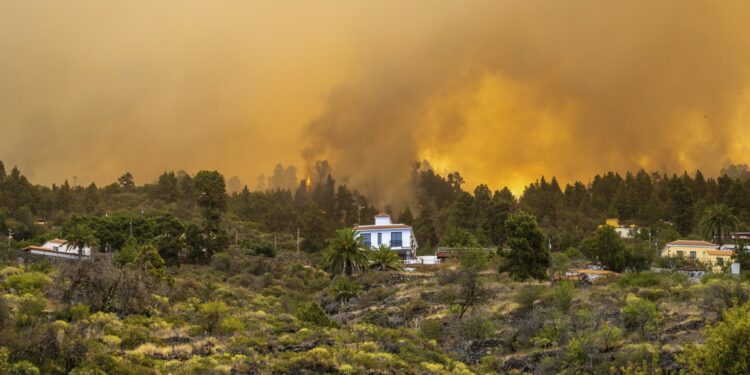 2,000 evacuated in La Palma wildfire in Spain's Canary Islands; official says blaze 'out of control'