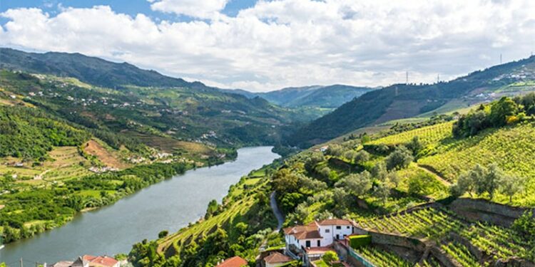 8 Reasons to Cruise Along the Douro River