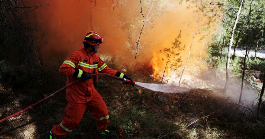 Airplanes won’t solve Europe’s wildfire problem. Nature might