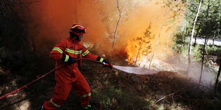 Airplanes won’t solve Europe’s wildfire problem. Nature might