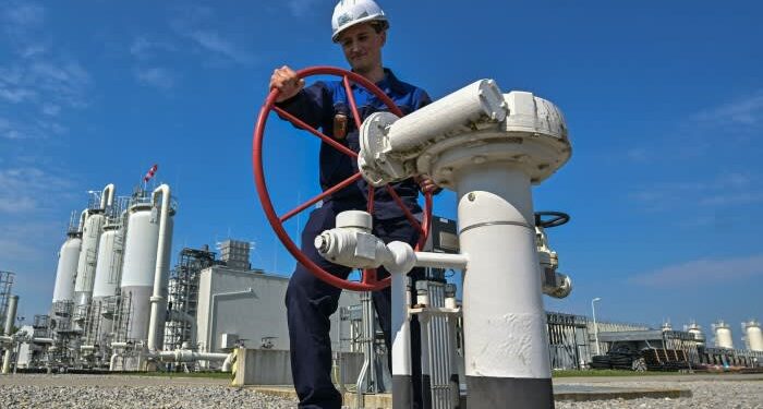 Austria faces energy crisis from a position of strength