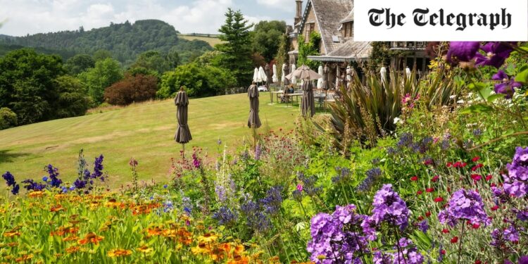 Britain's 20 loveliest hotel gardens