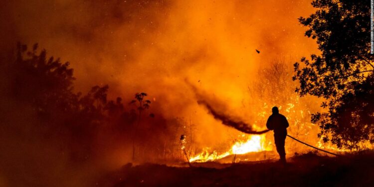 Cyprus wildfires leave at least four dead in 'unprecedented tragedy'