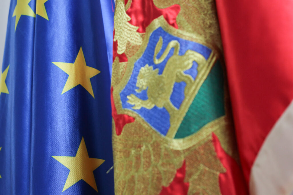 EU ANNUAL REPORT ON HUMAN RIGHTS AND DEMOCRACY IN THE WORLD - MONTENEGRO 2022 UPDATE