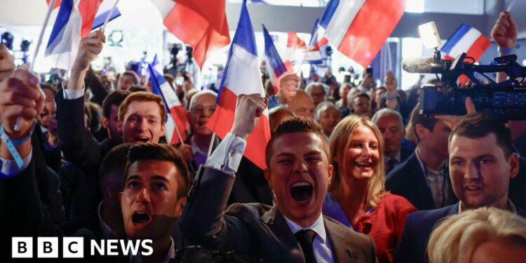 EU elections: What the European results and far-right surge tells us