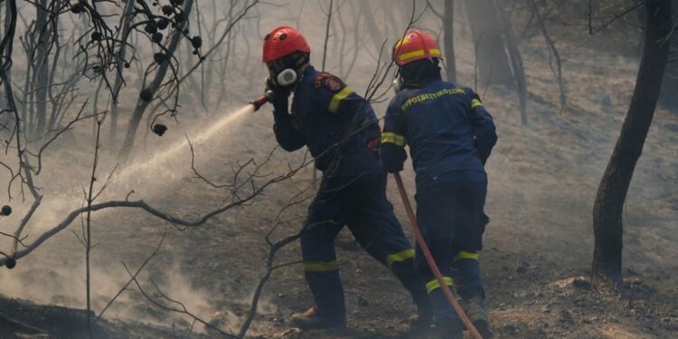 Europe's 2023 wildfire season among century's worst as preparations for 2024 begin