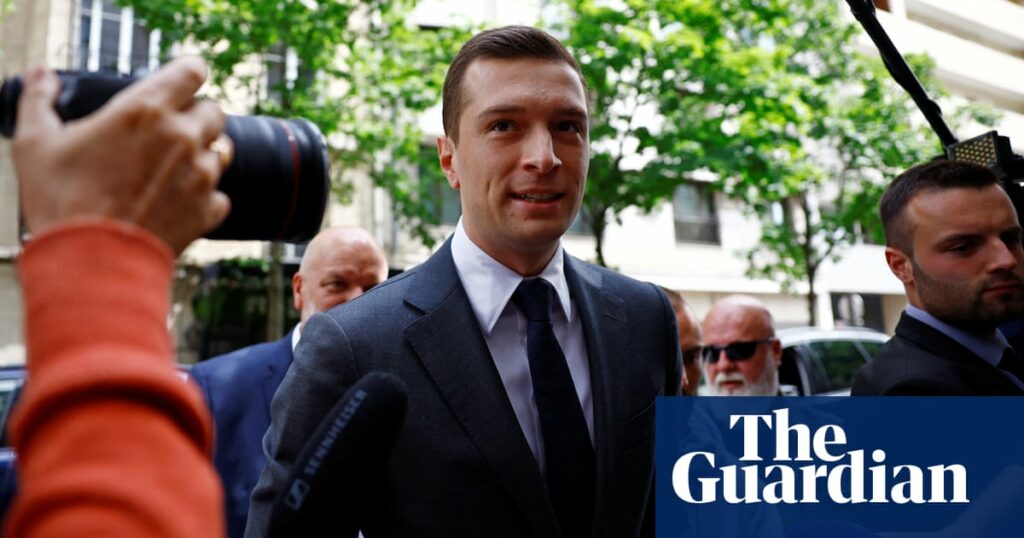 French elections: who are the key players and what is at stake? | France