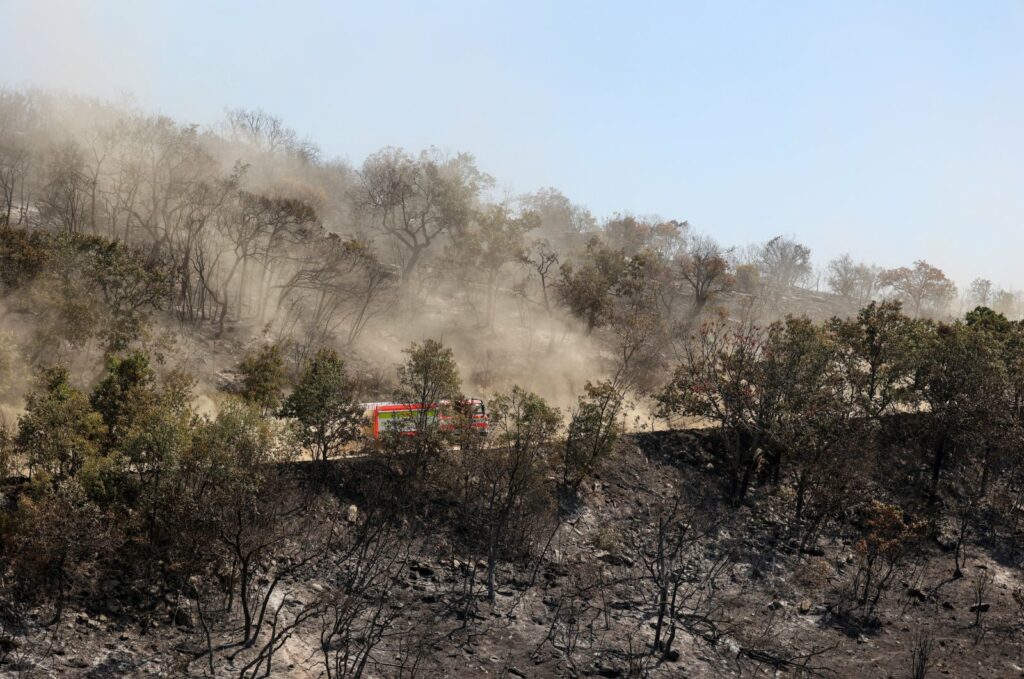 Greece wildfires 'largest ever' recorded in Europe