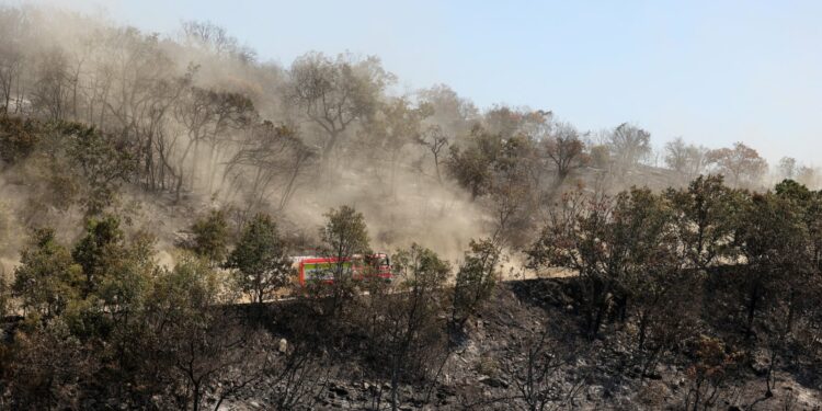 Greece wildfires 'largest ever' recorded in Europe