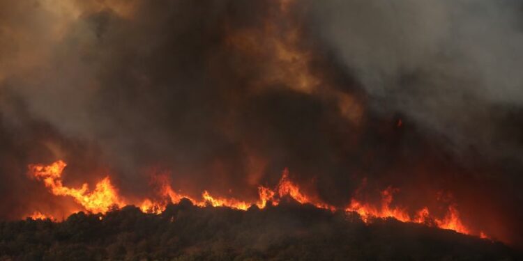 Greek police arrest dozens for arson as EU’s largest-ever wildfires rage