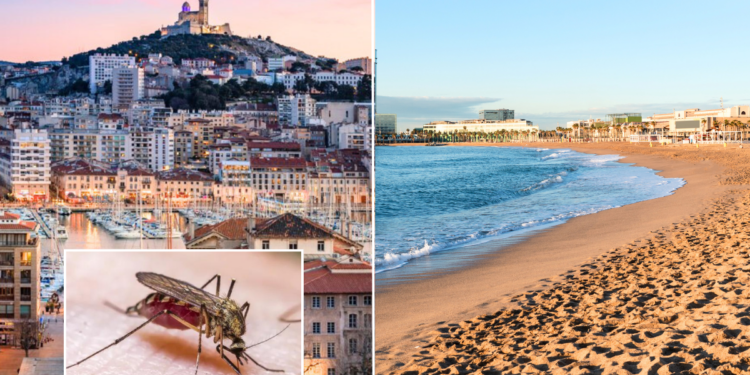 Illness that causes fever and rashes sweeps Europe with holidaymakers in Spain, France and Italy warned