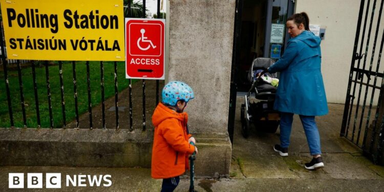 Ireland election: Counting process under way in council poll