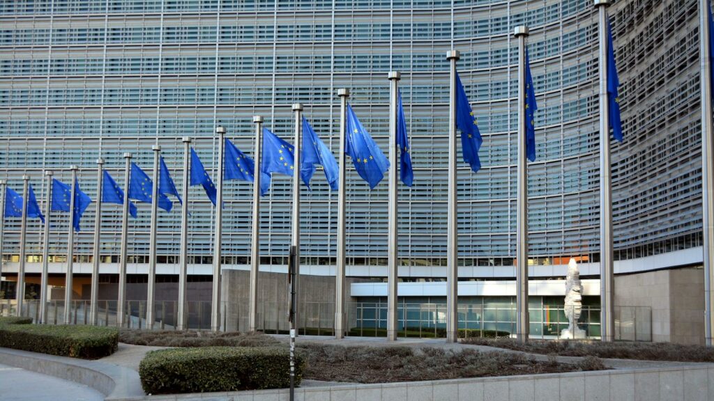 Is Europe too big for further enlargement?