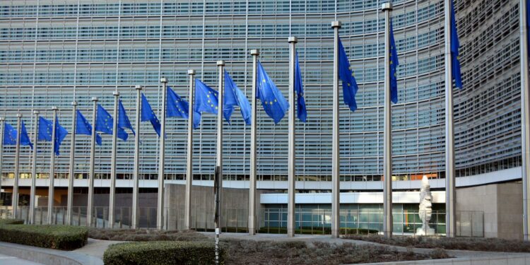 Is Europe too big for further enlargement?