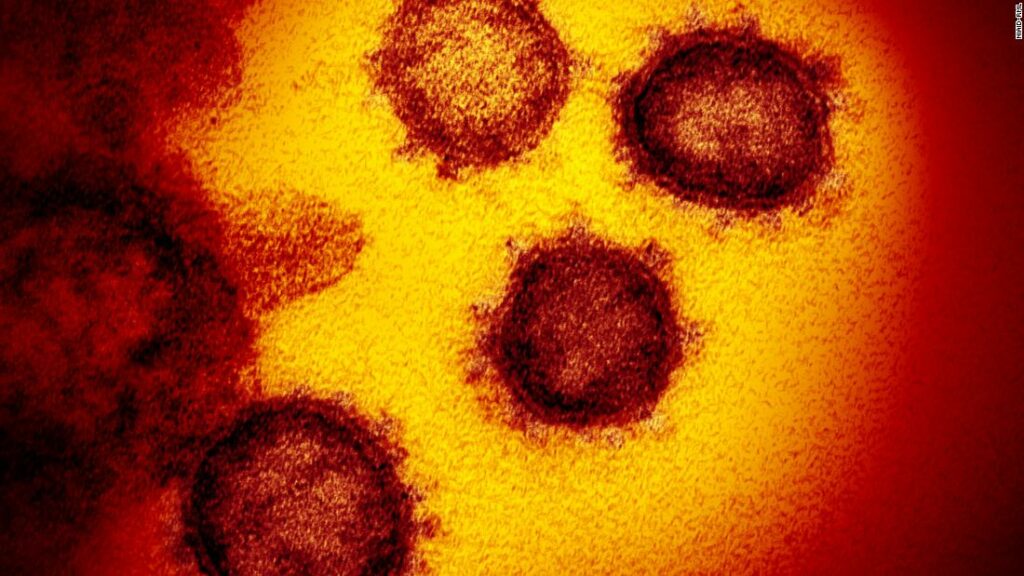 Portugal coronavirus: Migrants and asylum-seekers given full citizenship rights during outbreak