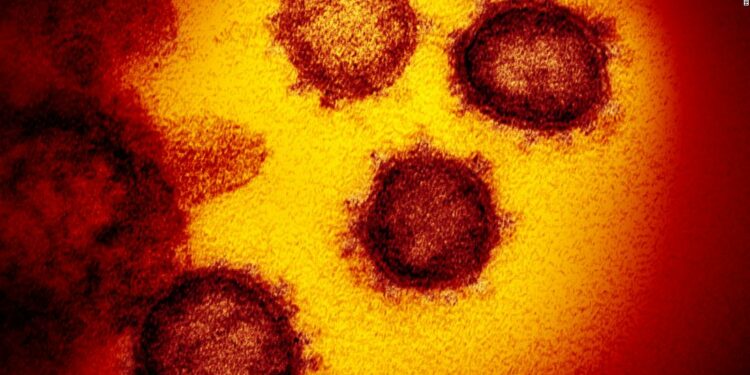 Portugal coronavirus: Migrants and asylum-seekers given full citizenship rights during outbreak