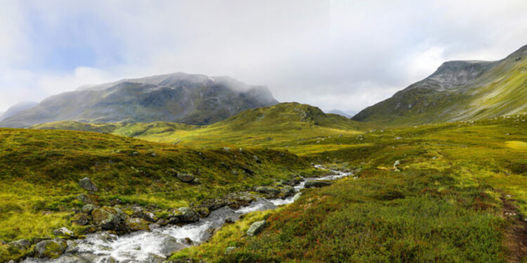 Rare Earths Norway says its REE discovery is Europe’s largest