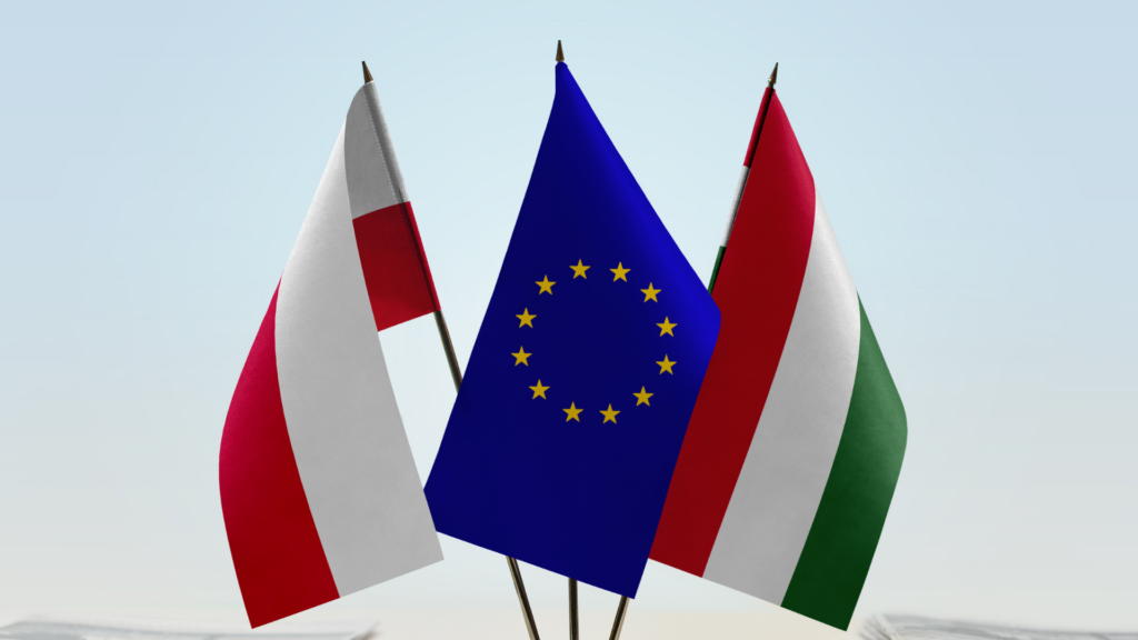 Reflections on Poland’s presence in the European Union and the Hungarian EU Presidency by Ambassador of Hungary