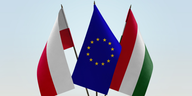 Reflections on Poland’s presence in the European Union and the Hungarian EU Presidency by Ambassador of Hungary