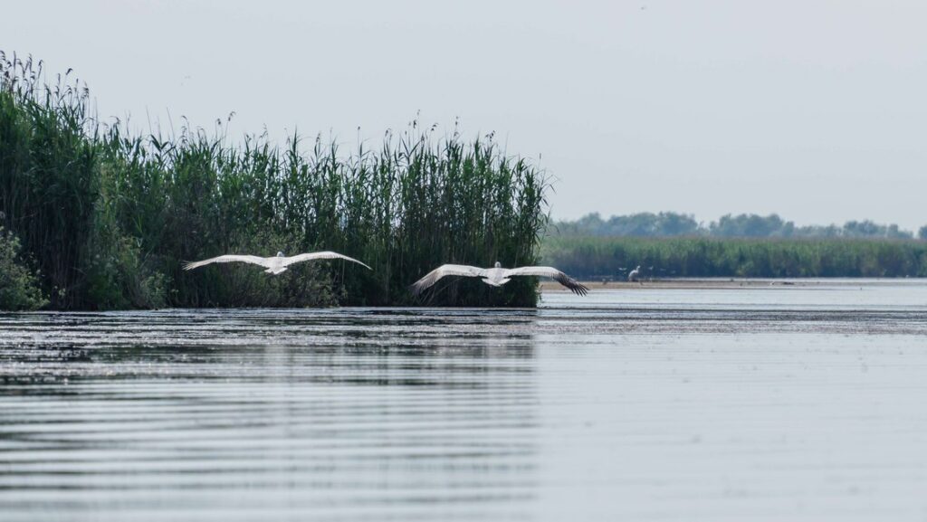 Romania country briefing – The European environment — state and outlook 2015 — European Environment Agency