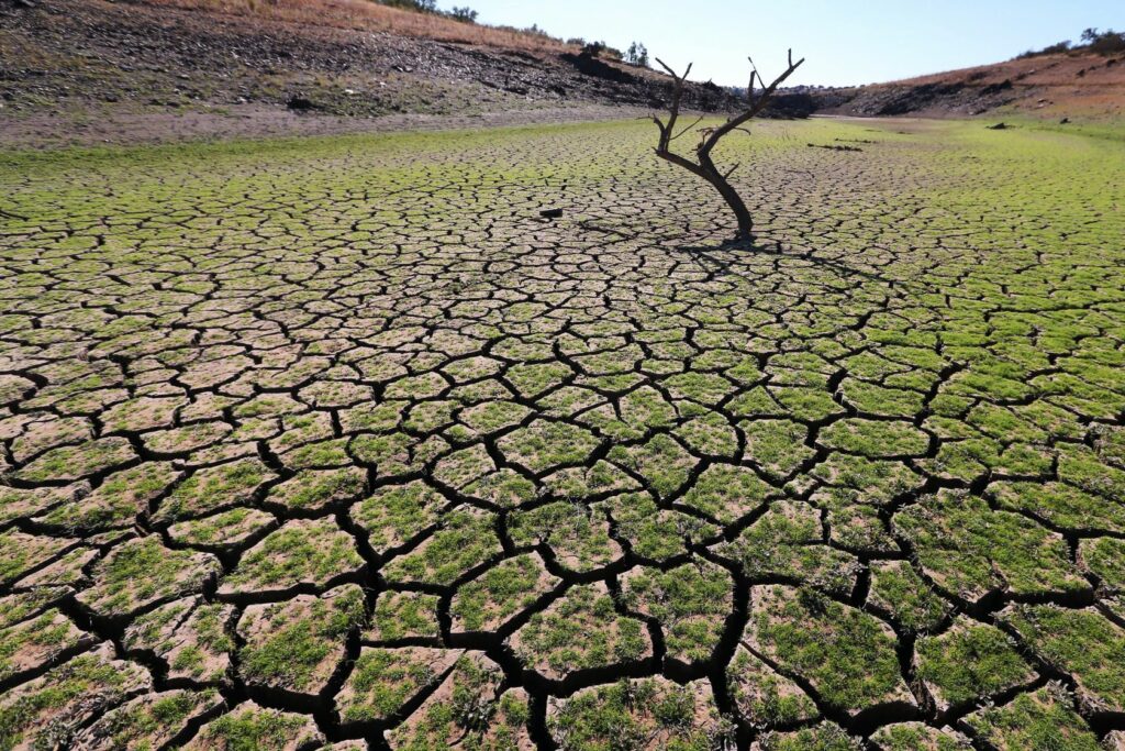 Spain “insisting” on water from Portugal to tackle drought