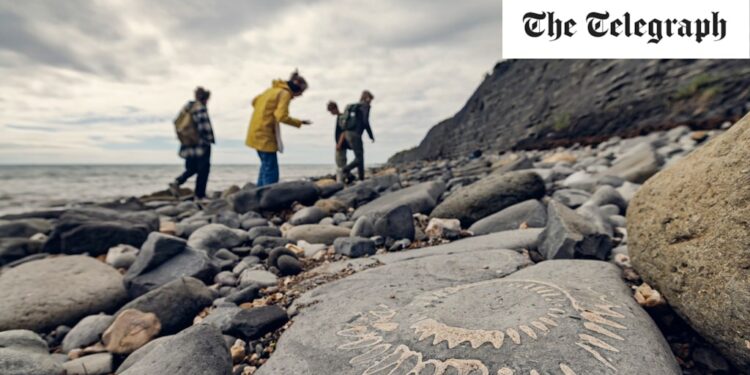 The best places to go fossil hunting in Britain