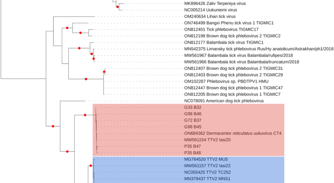 The expanding range of emerging tick-borne viruses in Eastern Europe and the Black Sea Region