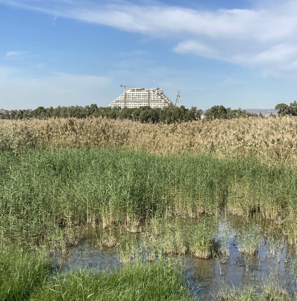 The state of nature in Cyprus