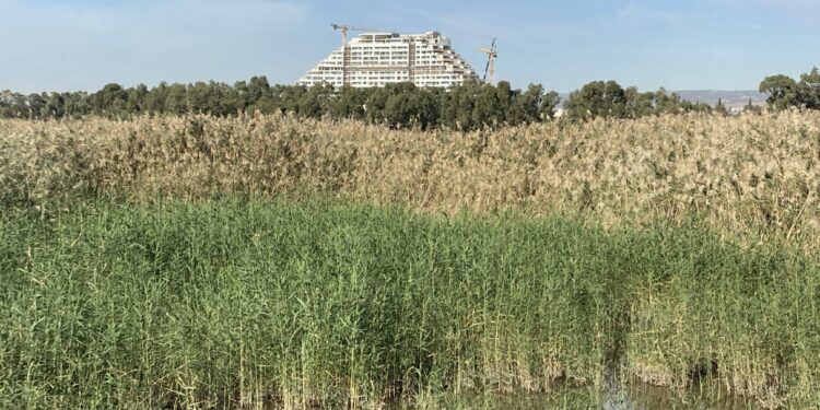 The state of nature in Cyprus