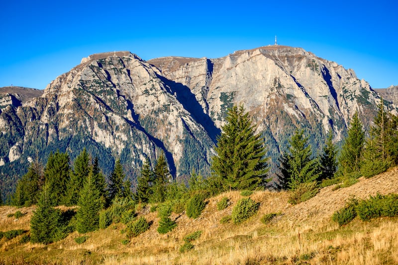 The Carpathian Mountains