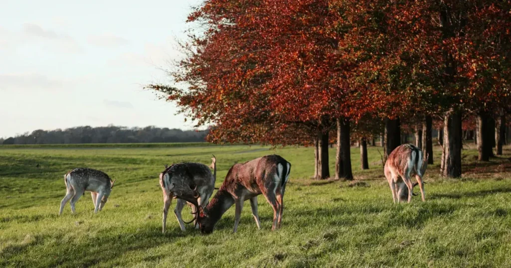 16 Cool And Unusual Things To Do In Dublin