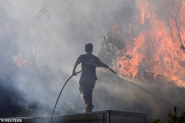 A volunteer tries to extinguish a wildfire burning in Stamata, near Athens, Greece, June 30